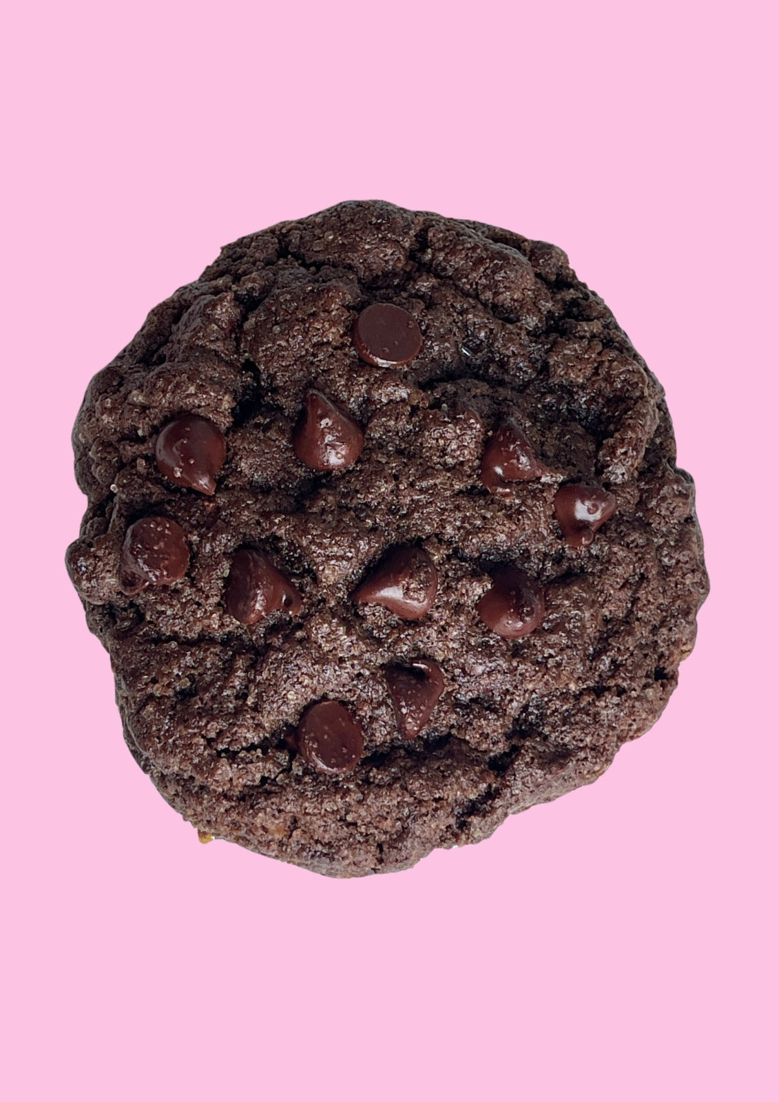 Chonky Cacao